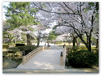 兼六園花見橋